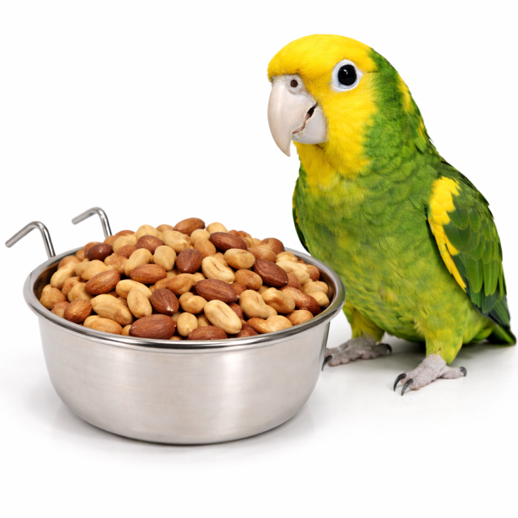 Zolux Miska Podwieszana ze Stali Nierdzewnej 0,84 l | Miska do klatki dla papug od ParrotPlanet.pl