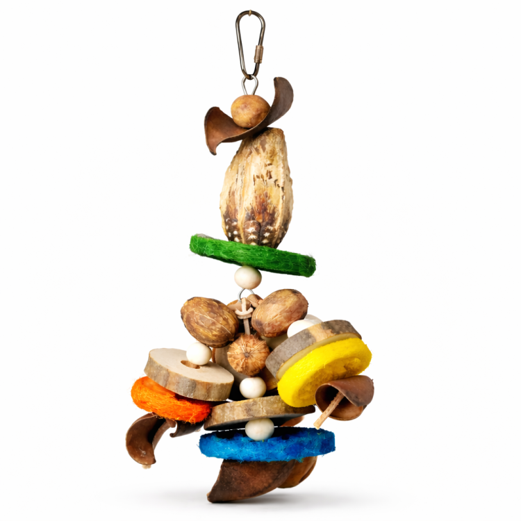 Hanging Nuts | Zabawa do żerowania z naturalnych materiałów dla papug od ParrotPlanet.pl