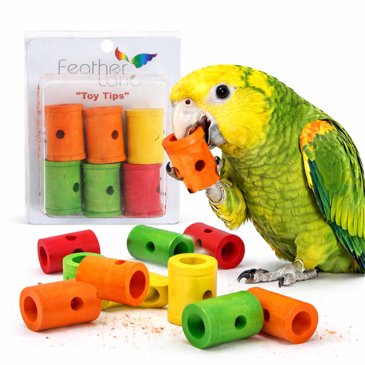 Szpula drewniana L - części zamienne do robienia zabawek dla papug DIY lub zabawka do łapki od ParrotPlanet.pl