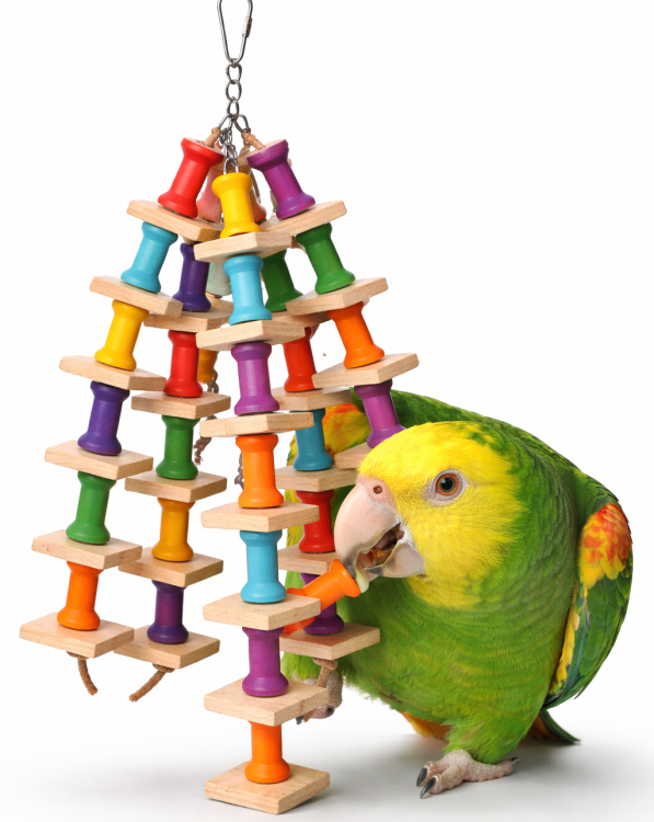 "Bardzo Ładna Zabawka" - Zabawka dla średnich i dużych papug od ParrotPlanet.pl