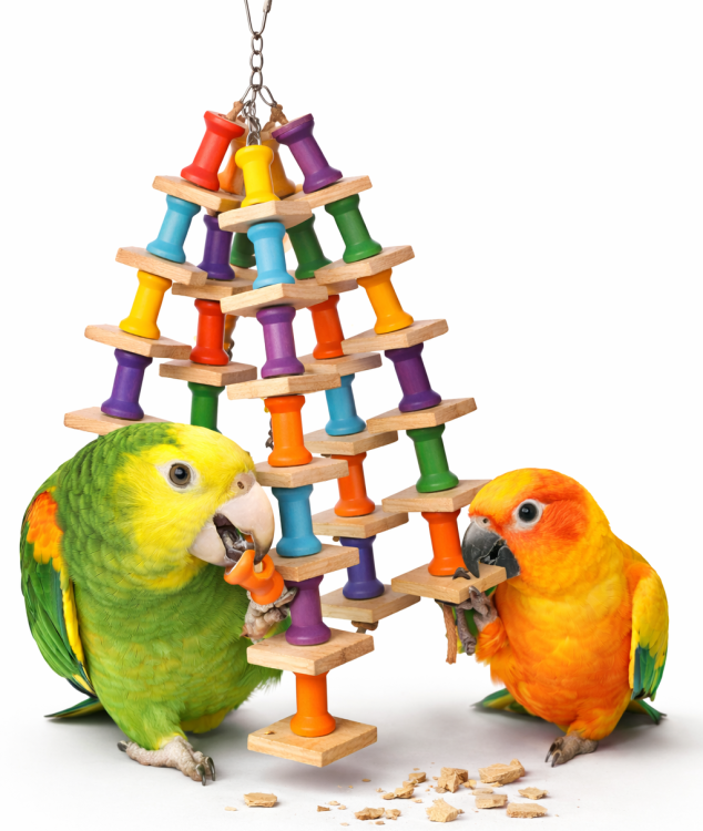 "Bardzo Ładna Zabawka" - Zabawka dla średnich i dużych papug od ParrotPlanet.pl