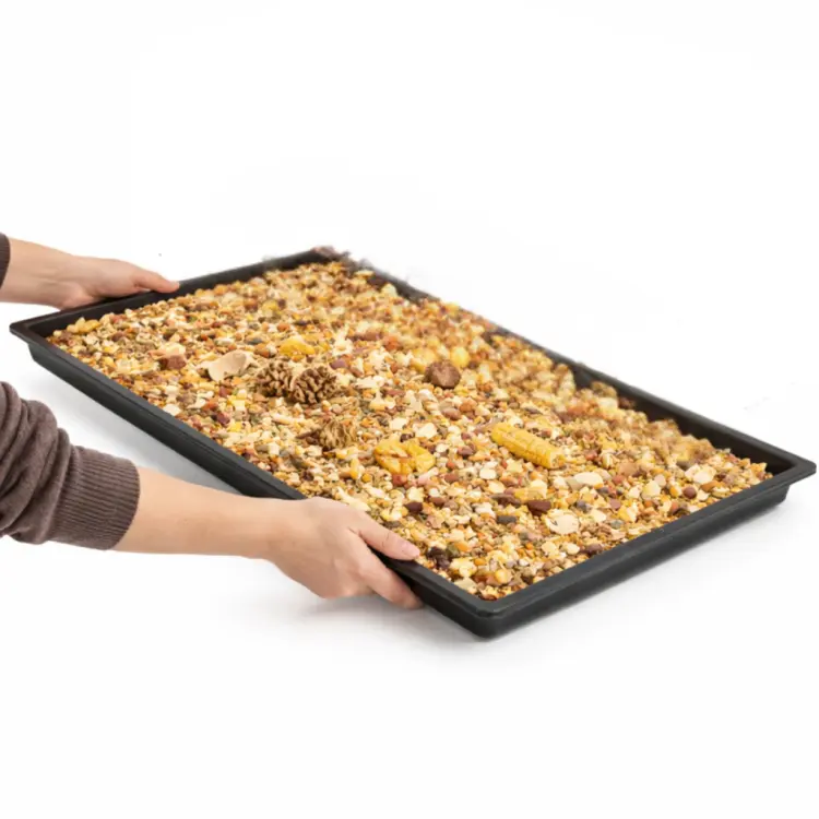 Kuweta do żerowania XXL dla papug 100 × 30 × 60 cm – drewniana skrzynia foragingowa od ParrotPlanet.pl