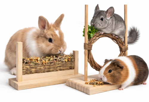 Natural Play Set – zabawka naturalna dla gryzoni  od ParrotPlanet.pl