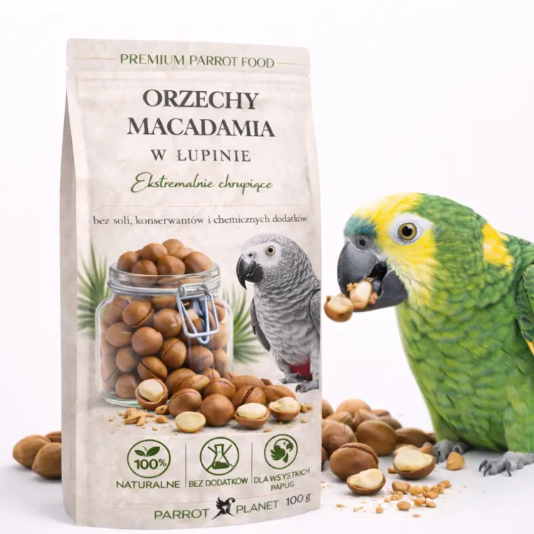 Premium Parrot Food | Orzechy Macadamia w Skorupce | Zdrowe smakołyki dla wszystkich papug 100g od ParrotPlanet.pl