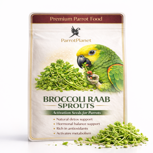 Premium Parrot Food | Brokuł | Nasiona na Kiełki | dla Papug 50g  od ParrotPlanet.pl