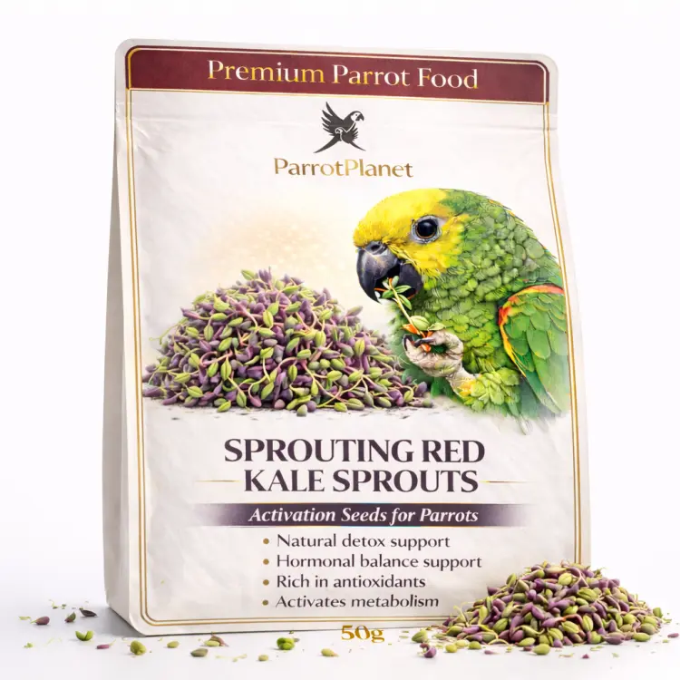 Premium Parrot Food | Jarmuż Czerwony | Nasiona na Kiełki | dla Papug 50g  od ParrotPlanet.pl