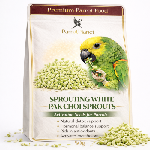 Premium Parrot Food | Pak Choi Biała | Nasiona na Kiełki | dla Papug 50g od ParrotPlanet.pl