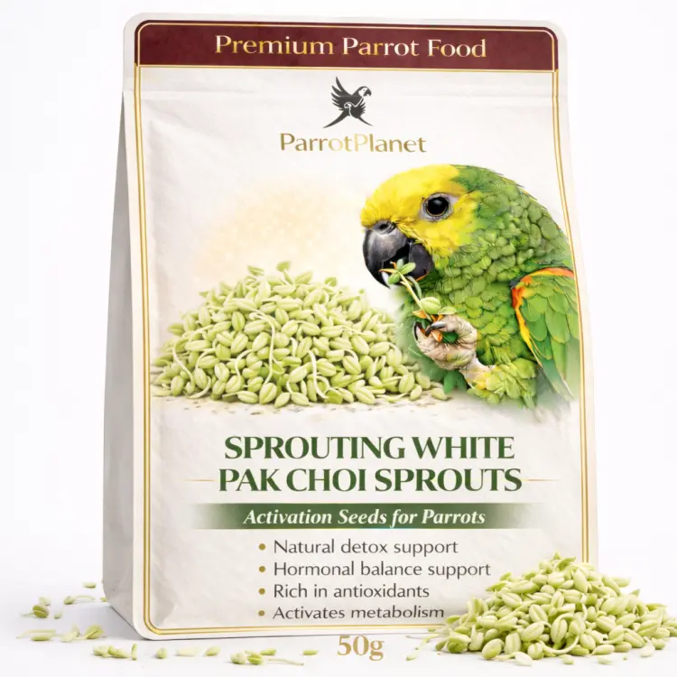 Premium Parrot Food | Pak Choi Biała | Nasiona na Kiełki | dla Papug 50g od ParrotPlanet.pl
