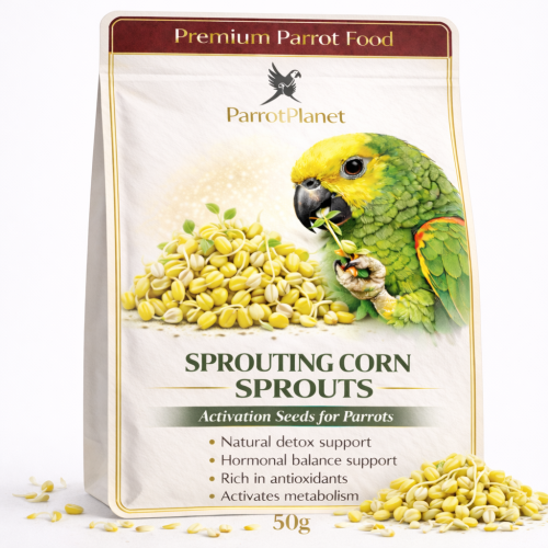 Premium Parrot Food | Kukurydza | Nasiona na Kiełki | dla Papug 50g  od ParrotPlanet.pl