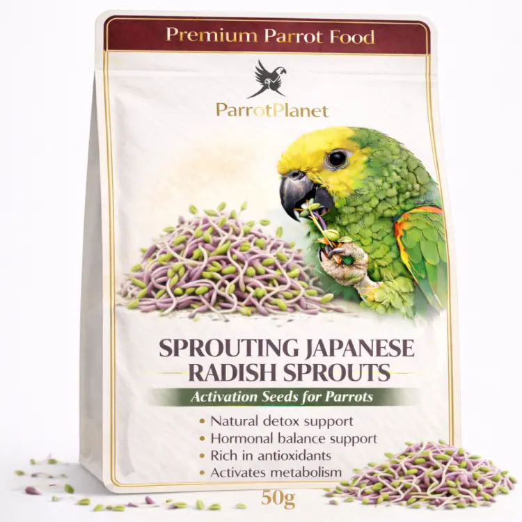 Premium Parrot Food | Rzodkiew Japońska Daikon | Nasiona na Kiełki | dla Papug 50g od ParrotPlanet.pl