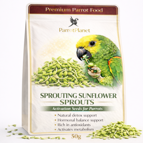 Premium Parrot Food | Słonecznik | Nasiona na Kiełki | dla Papug 50g  od ParrotPlanet.pl