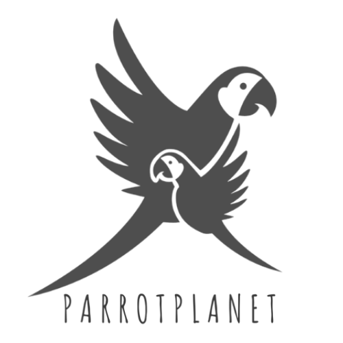 ParrotPlanet.png