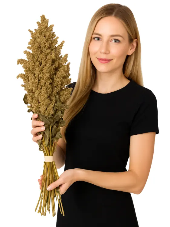 Tivo Amarantus w kłosach do chrupania dla wszystkich papug 80g od ParrotPlanet.pl