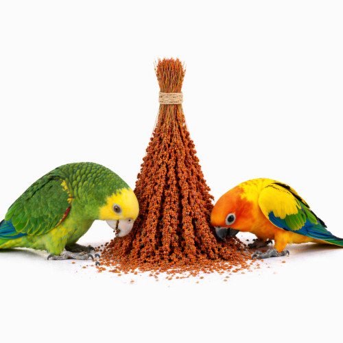 TIVO Spray Millet red- proso czerwone w kłosach 150g  od ParrotPlanet.pl