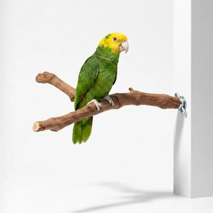 Żerdź Y naturalna z winorośli dla Średnich i większych Papug | 30 cm długości | 3 cm średnicy od ParrotPlanet.pl