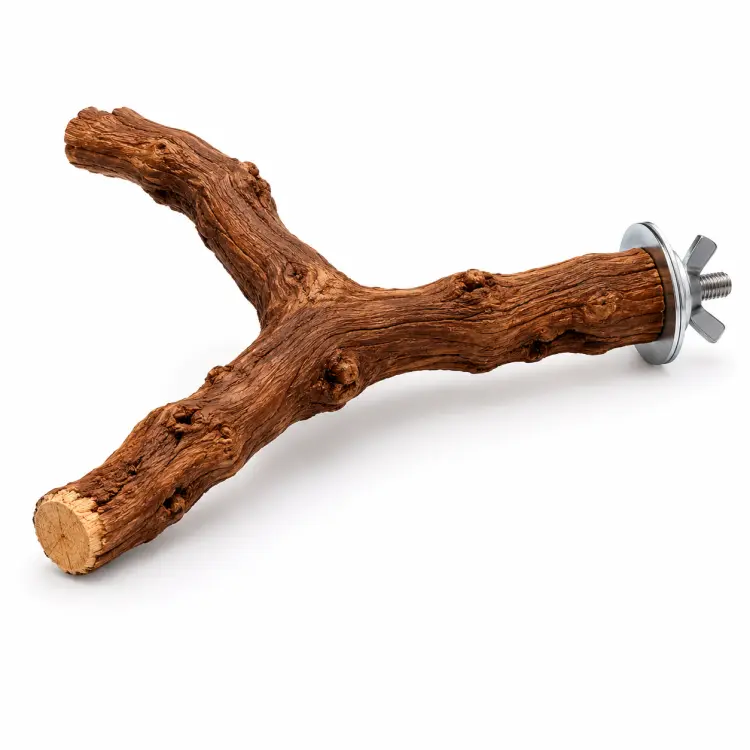 Żerdź Y naturalna z winorośli XL dla większych Papug | 40 cm długości | 3,5 cm średnicy od ParrotPlanet.pl