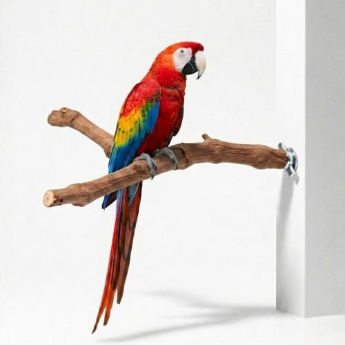 Żerdź Y naturalna z winorośli XL dla większych Papug | 40 cm długości | 3,5 cm średnicy od ParrotPlanet.pl