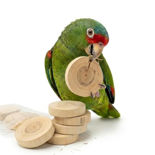 Naturalne Krążki Java -zabawka do łapki dla papug, lub części zamienne DIY od ParrotPlanet.pl