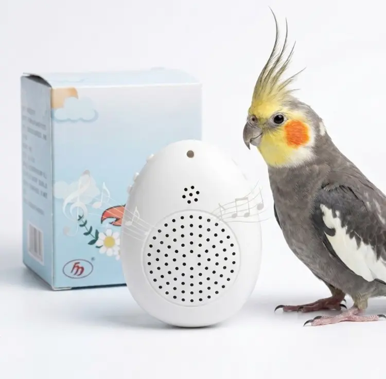 MIMIC ME MINI | Urządzenie do nauki mówienia dla papug  od parrotplanet.pl