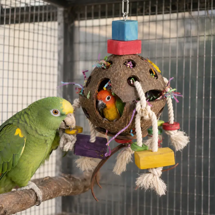 Kokosowa Zabawa II - drewniana zabawka dla papug od ParrotPlanet.pl