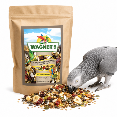 African Grey parrot Wagner's | Karma dla Żako | Mieszanka bytowa 1 kg od ParrotPlanet.pl