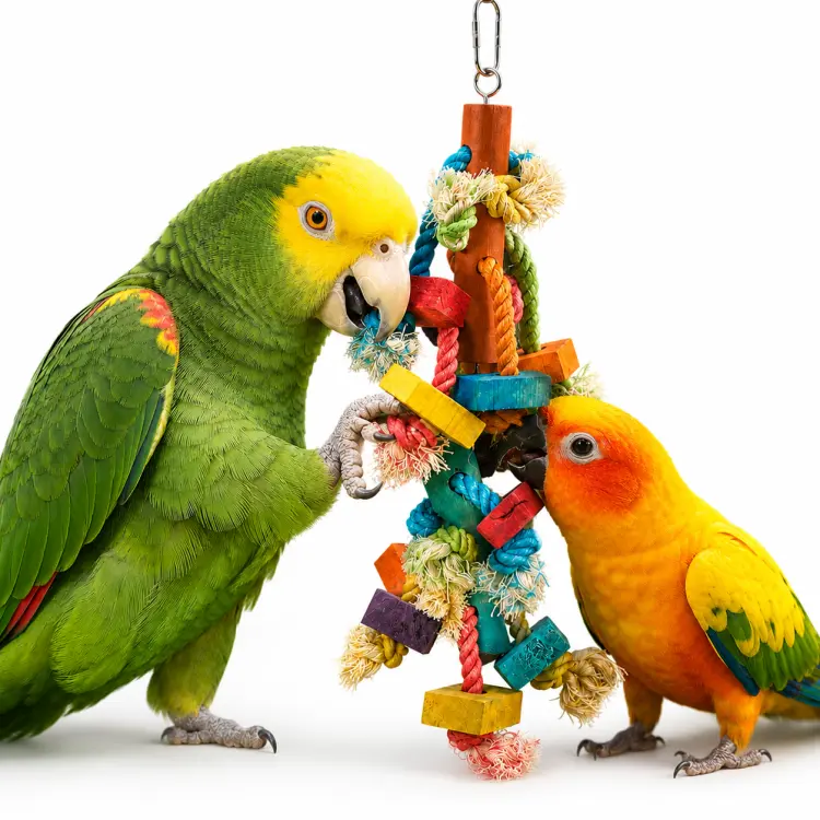 2 w 1 | Drewniana Zabawka dla PaPug od ParrotPlanet.pl
