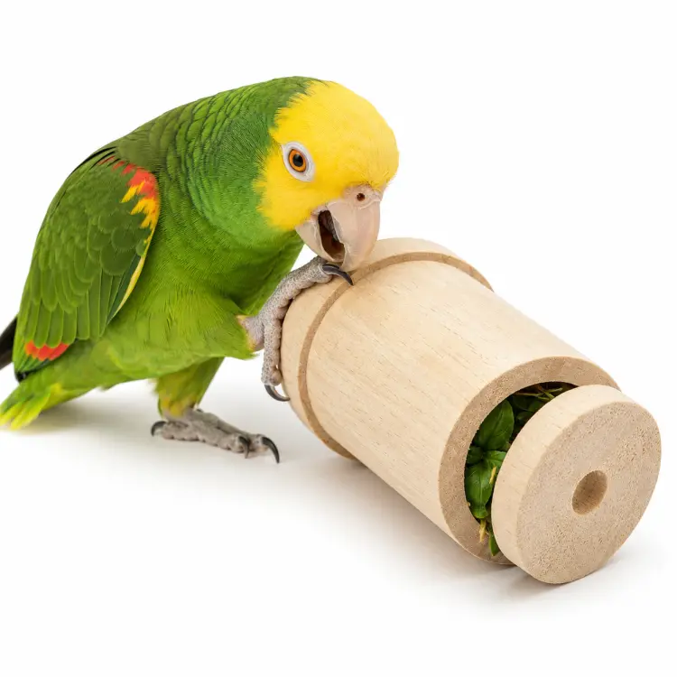 Chrup Rolka do żerowania - zabawka dla papug od ParrotPlanet.pl