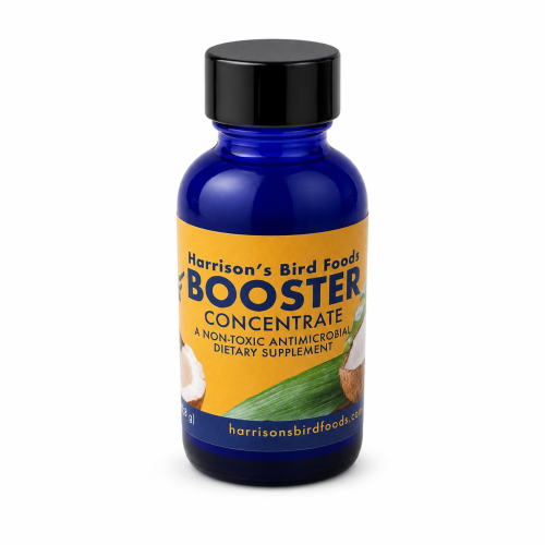Harrison's Booster Concentrate, 28 g od ParrotPlanet.pl