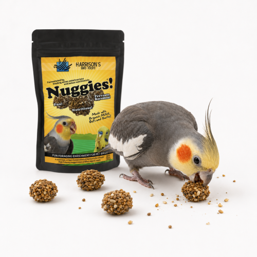 Harrison’s Nuggies 196 g – zdrowa nagroda i przysmak treningowy dla papug od ParrotPlanet.pl