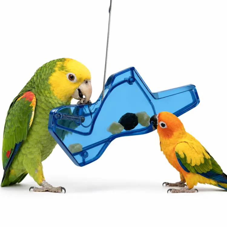 Blue Treat Seeker – Zabawka Ruchowa (nauka żerowania) dla papug  od ParrotPlanet.pl