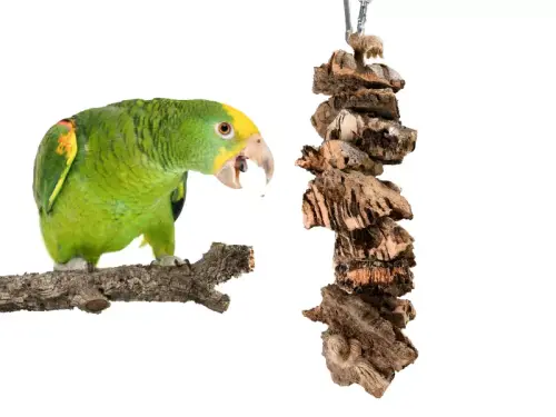 Naturalna zabawka|Gryzak z Dębu korkowego | Korek na sznurku| dla małych i średnich papug od ParrotPlanet.pl