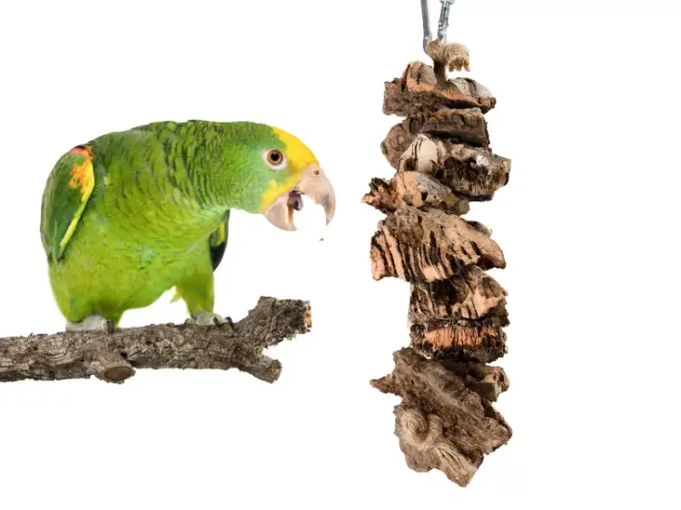 Naturalna zabawka|Gryzak z Dębu korkowego | Korek na sznurku| dla małych i średnich papug od ParrotPlanet.pl