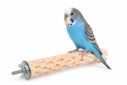 Duvoplus wapienna żerdź dla papug S 13 × 3 × 3 cm – mineralna żerdka o strukturze plastra miodu od ParrotPlanet.pl
