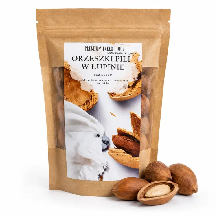 Premium Parrot Food | Orzeszki pili w łupinie dla papug | naturalny przysmak | 100g od ParrotPlanet.pl