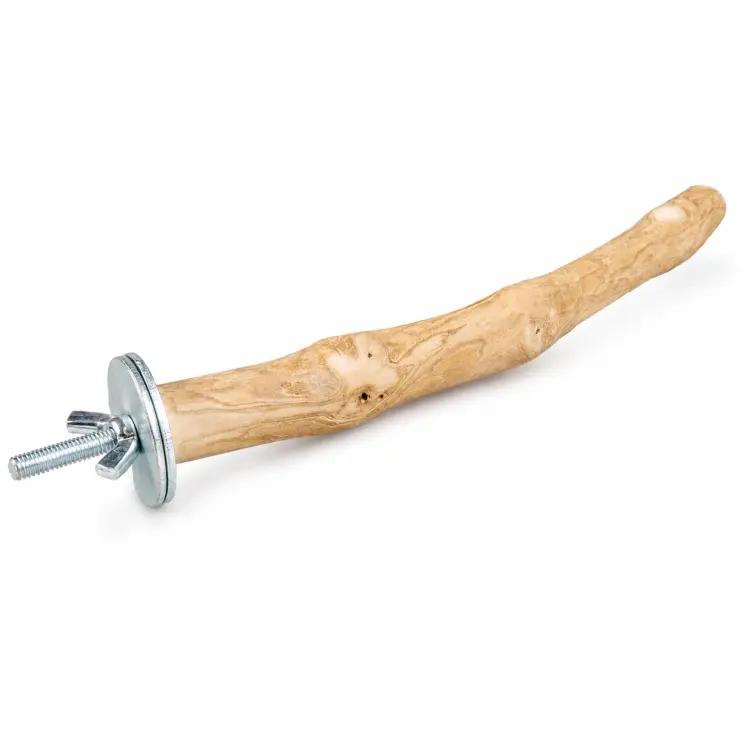 Żerdź Java S dla papug – naturalne drewno kawowca, 20 cm, Ø ok. 2 cm od ParrotPlanet.pl