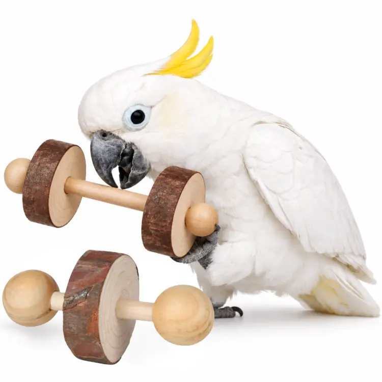 Mini hantle Naturalne - zabawka do łapki dla papug - 2 szt od ParrotPlanet.pl