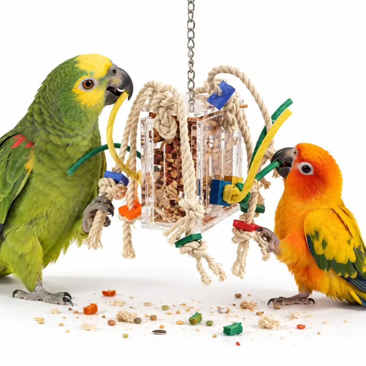 Crazy Acrylic Box S – Wielorazowa Zabawka Foragingowa dla Nimf i Mniejszych Papug od ParrotPlanet.pl