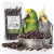 TIVO Gałązki jabłoni dla papug – naturalny gryzak i element foragingu | 100 g  od ParrotPlanet.pl