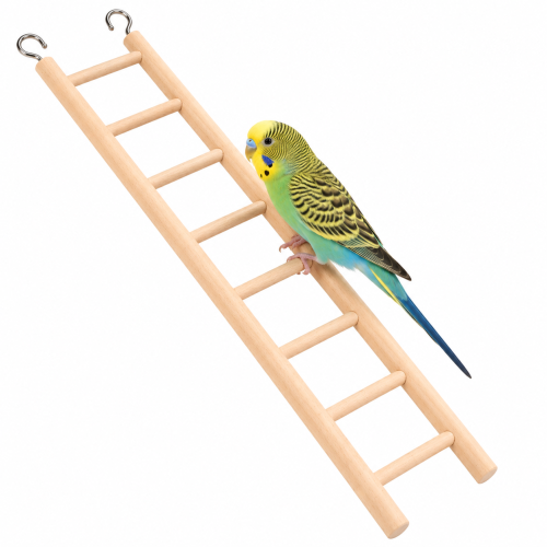 Drewniana drabinka dla ptaków - 34cm 8 stopni od ParrotPlanet.pl
