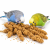 VITAPOL Proso Senegalskie dla wszystkich papug  100g od ParrotPlanet.pl