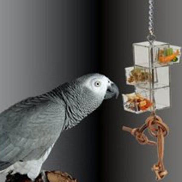 Szuflady z jedzeniem zabawka interaktywna dla papug od ParrotPlanet.pl