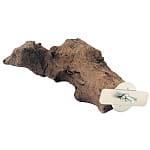 Konar Paritte M/L - naturalny konar dla dużych i średnich papug