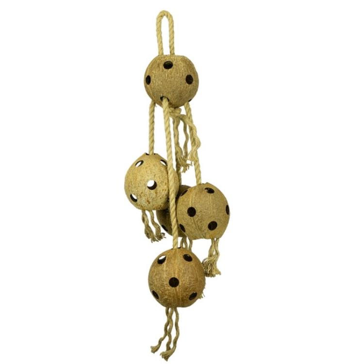 Grande Kokosen - 5 dużych kokosów na sznurkach XXL - zabawka dla wszystkich papug od ParrotPlanet.pl