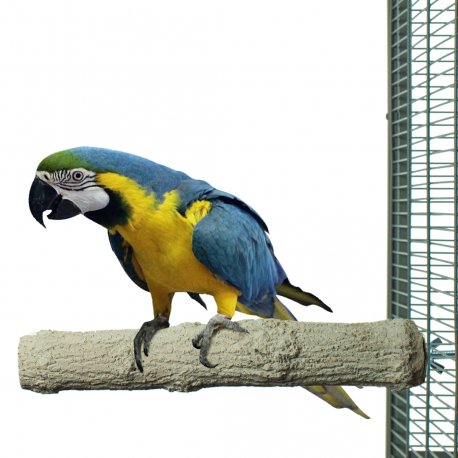 Żerdź do pielęgnacji pazurów ARA 35x6cm od ParrotPlanet.pl