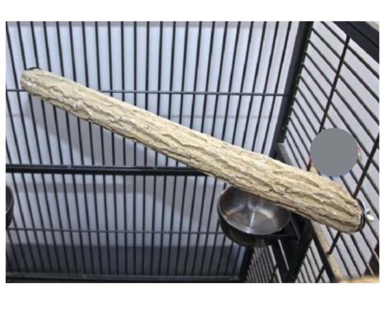 Narożna żerdź do pielęgnacji pazurów L 55x5 cm od ParrotPlanet.pl