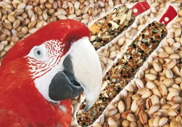 KOLBY WAGNER - PISTACJOWA Rozkosz XXL - kolby pistacjowa dla dużych i średnich papug 225g od ParrotPlanet.pl