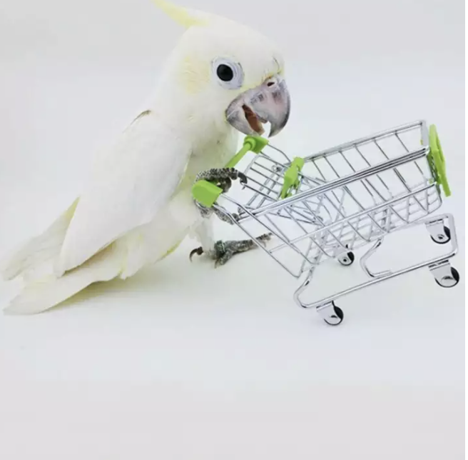 Koszyk na zakupy - Zabawka logiczna dla papug od ParrotPlanet.pl