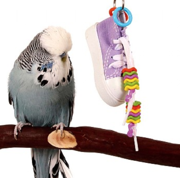 Wiszący Trampek | kultowa zabawka dla małych i dużych od ParrotPlanet.pl