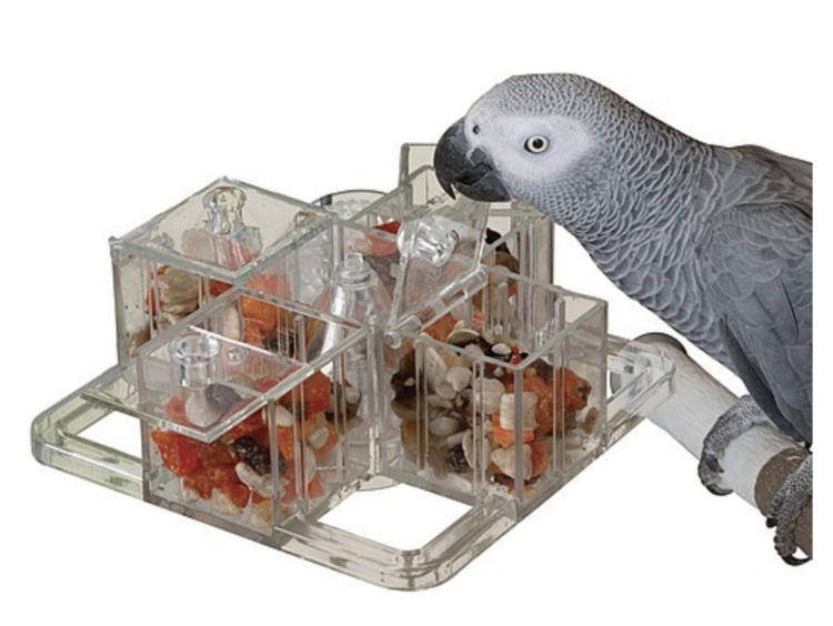 Misa Obiadowa - zastawa stołowa dla papug od ParrotPlanet.pl