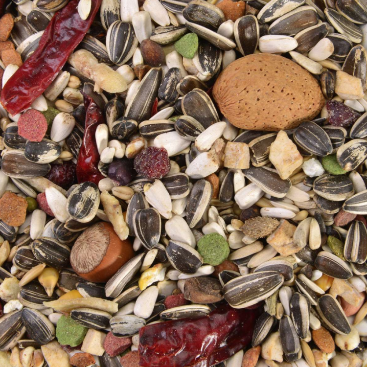 ARA Wagner's - mieszanka dla AR 1kg od ParrotPlanet.pl